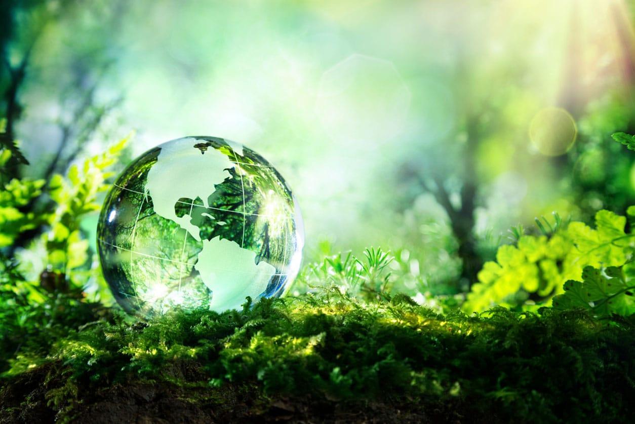 earth-sustainability